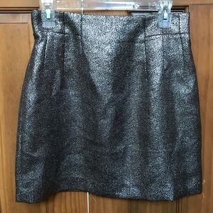 Metallic Skirt